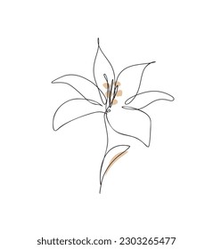 Line Art Poster with Lily Flower made of Black Line and Brown Stains isolated on a White Background. Vector Illustration of Single Flower made of Continuous Line. Minimalist Modern Art Print.