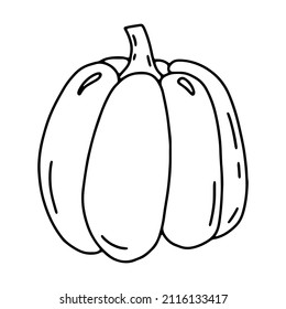 Line art pumpkin. Doodle autumn vegetable for Halloween. Isolated element on a transparent background.