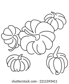 A line art and pumpkins  Minimalist vector illustration  Doodle in black   white  An idea for decoration  tattoo