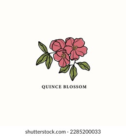 Line art quince blossom drawing