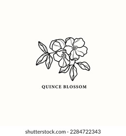 Line art quince blossom illustration