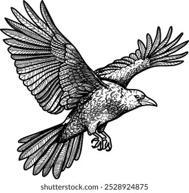 line art raven vector illustration