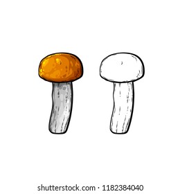 Line art realistic sketch of mushroom, vector illustration isolated on white background