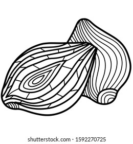 Line art of red onion vector