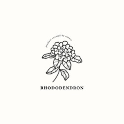 Line Art Rhododendron Flower Illustration
