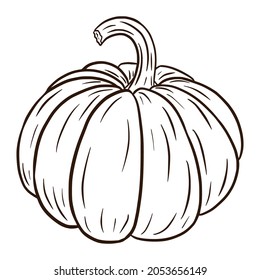 Line Art Ripe Pumpkin Vector Illustration. Autumn Food Icon. Fresh squash sketch. Element for autumn decorative design, halloween invitation, harvest, sticker, print, logo, menu, recipe
