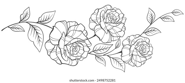 Arte de la línea de la flor de rosa, contorno blanco y negro de la Ilustración vectorial de las flores de rosa