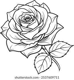 Line art of rose flower, black and white outline of rose flowers vector illustration.