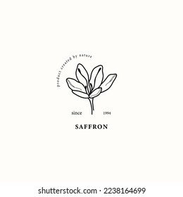 Line art saffron flower illustration