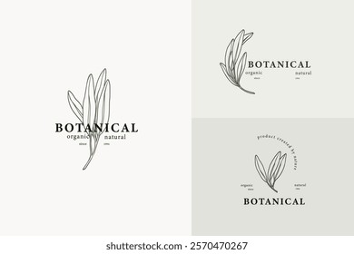 Line art sage branches logotypes