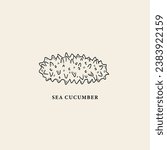 Line art sea cucumber illustration