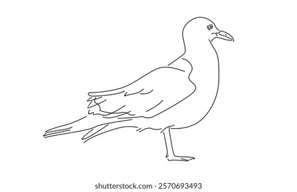 line art of seagull illustration