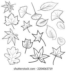Line art set of autumn leaves, outline collection. Coloring page for kids and adult