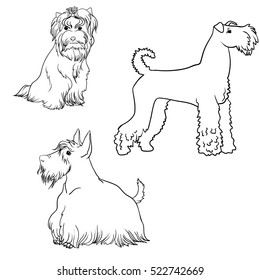 A line art set of dogs different kinds of terriers