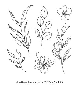 Line art set of doodle branches and flowers.