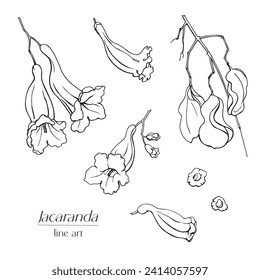 Line art set Jacaranda flowers and seeds. Hand drawn sketch black and white vector graphics element for design logo brending