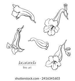 Line art set Jacaranda flowers. Hand drawn sketch black and white vector graphics element for design logo branding package card