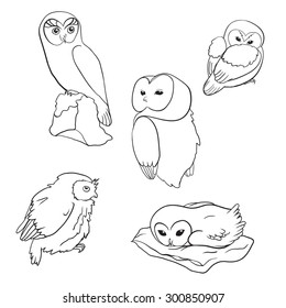 a line art set of owls
