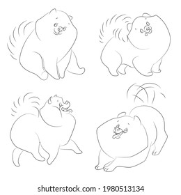 Line art set with Spitz dogs. Monochrome vector illustration isolated on white background.