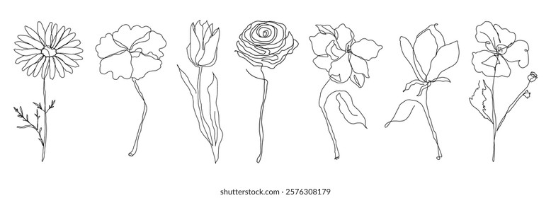 Line art of seven flowers, each with unique petals. Delicate floral line drawings showcase simple, elegant flower designs. Minimalist flower sketches. Doodle illustrations, vector set.