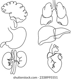 Line Kunst von mehreren Organen, einschließlich Gehirn, Lungen, Magen, Leber, Nieren und Herz.