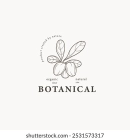 Logotipo de noz de karité