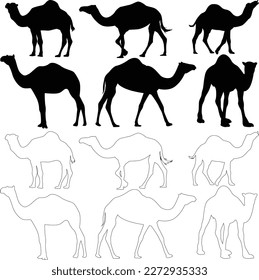 Line art and Silhouette of desert camel animal