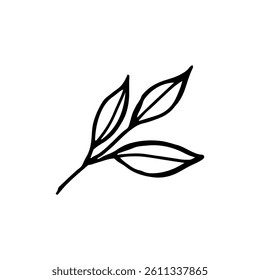 Line art simple logo of a branch with three leaves, hand-drawn vector concept.