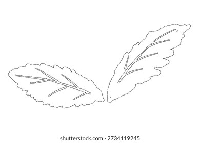 Line Art Einfache Pfefferminzblätter Vektor