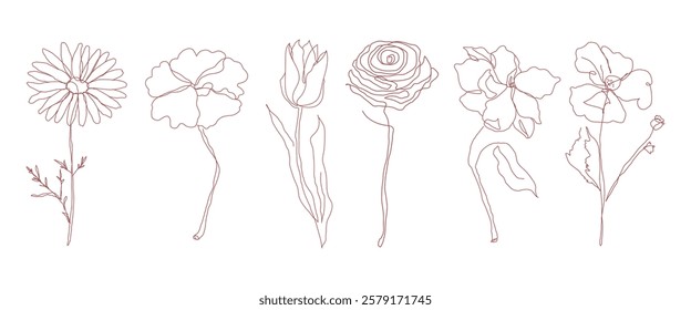 Line art of six flowers: daisy, poppy, tulip, rose, orchid, and hibiscus. Simple line art captures the essence of each flower in delicate detail. Doodle illustrations, vector set.