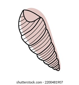Line Art Sketch Muscheln. Vektorgrafik einzeln auf Hintergrund. Dekorationssymbol des gesunden Kalziums. Unterschiedliche Formen von Muscheln. Das Symbol des Meeres. Sand- und Stranddesign.
