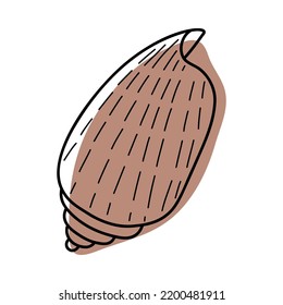 Line art sketch seashells. Vector illustration isolated from background. Decoration symbol of health calcium. Different shapes of shells. Sea ocean icon. Sand and beach design.
