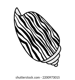 Line art sketch seashells. Vector illustration isolated from background. Decoration symbol of health calcium. Different shapes of shells. Sea ocean icon. Sand and beach design.
