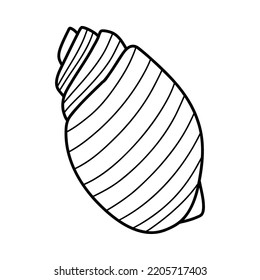 Line art sketch seashells. Vector illustration isolated from background. Decoration symbol of health calcium. Different shapes of shells. Sea ocean icon. Sand and beach design.
