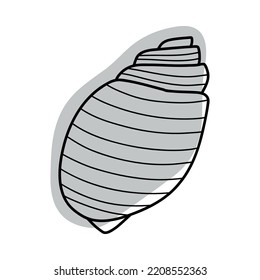 Line Art Sketch Muscheln. Vektorgrafik einzeln auf Hintergrund. Dekorationssymbol des gesunden Kalziums. Unterschiedliche Formen von Muscheln. Das Symbol des Meeres. Sand- und Stranddesign.
