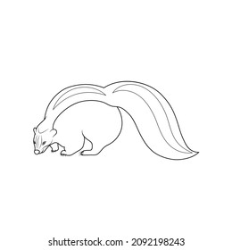 Line art skunk. Forest animal illustration.