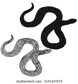 Line art of a snake. Vector illustration. Hand drawn.