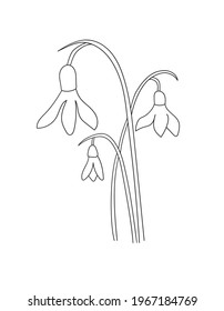 16,668 Snowdrop vector Images, Stock Photos & Vectors | Shutterstock