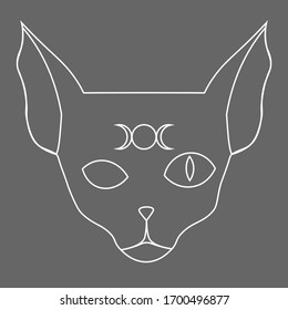 line art of sphynx cat with moon phases symbol on its forehead