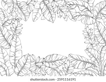 line art square frame adorned with Tropical vector banana palm leaves and flowers