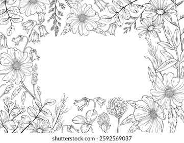 Line art square frame of different wild herbs and flower