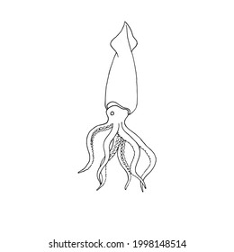 Line art Squid. Menu design, logo design. Doodle underwater animal. Exotic food