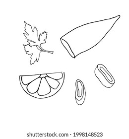 Line art Squid. Menu design, logo design. Doodle underwater animal. Exotic food