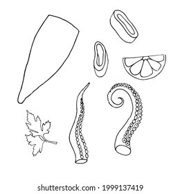 Line art Squid. Menu design, logo design. Doodle underwater animal. Exotic food