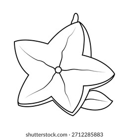A arte da linha de Star Fruit