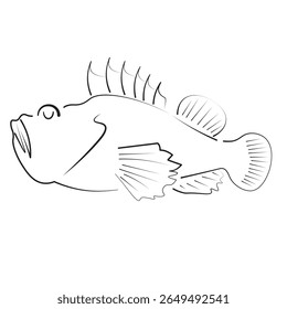 Parte da linha de um peixe-pedra, conhecida por seu veneno e camuflagem. Ideal para visuais de biologia marinha, guias subaquáticos, infográficos e conteúdo de ilustração educacional ou médica.