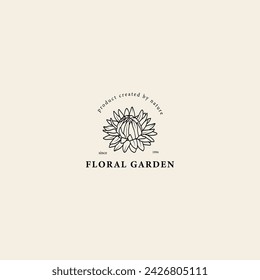 Line art strawflower logo. Botanical illustration
