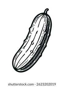 Line Art Style Cucumber Illustration