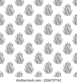 Line art succulents Seamless pattern of hand drawn doodle cacti. Hand drawn cute cactuses for cards,posters, fabric