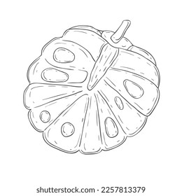 Line Art Sugar Apple. Vector Illustration on white Background.